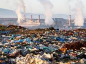 Hvordan forurener plastik miljøet?